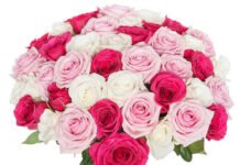 Ereka Fleuriste, la nouvelle star des fleurs en ligne à Marrakech
