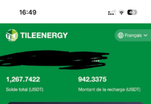 Alerte : TileEnergy.vip — une arnaque financière à dénoncer