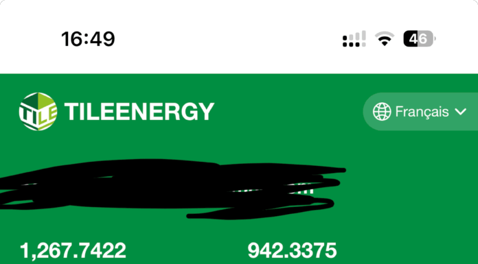 Alerte : TileEnergy.vip — une arnaque financière à dénoncer